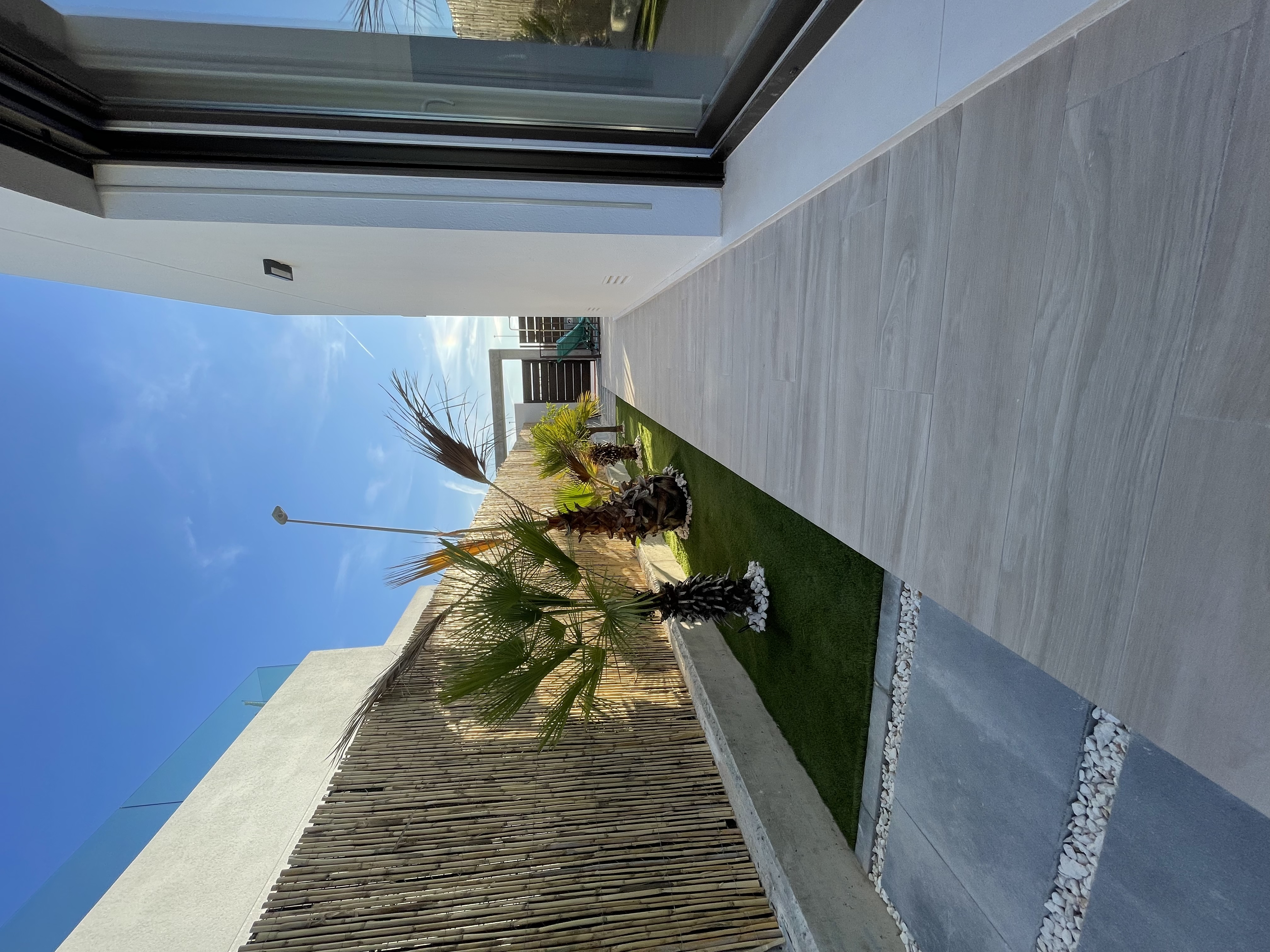 Tuin met palmbomen